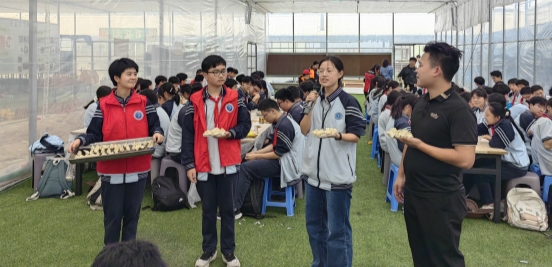 d66fc94a2255a581029f7877f7f453b2