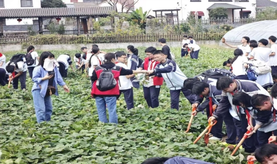 4d736fe08b4b617c4c136f199c2d167e