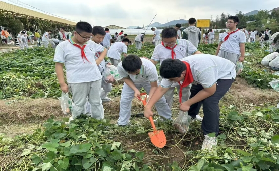 b2cc2f37684a75cf58a2d6ac0fa1debf