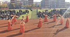 6f132ca5c541a0563146b33219bb6673